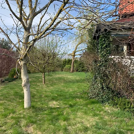 Villa Dom Z Ogrodem Blisko Trojmiasta I Kaszub *