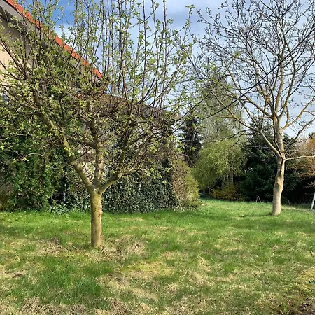 Dom Z Ogrodem Blisko Trojmiasta I Kaszub Dobrzewino