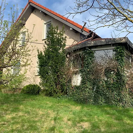 Dom Z Ogrodem Blisko Trojmiasta I Kaszub Dobrzewino