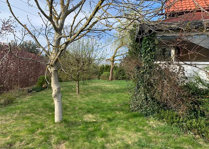 Villa Dom Z Ogrodem Blisko Trojmiasta I Kaszub *